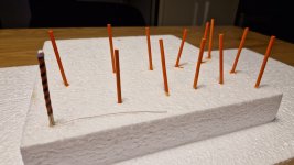 1000111188.jpg