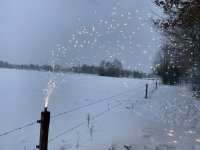 thumbnail_IMG_8026.jpeg