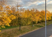 IMG_2531.jpeg