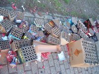 Day-after 010.JPG