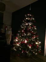 IMG_6086.jpeg