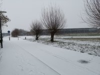 Sneeuw 5.jpg