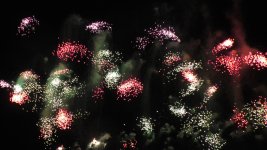 S1110228 (2).JPG