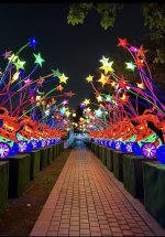 IMG_0081.jpeg