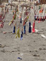 IMG_0135.jpg