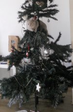 IMG_6758.jpeg