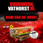 bvdw12.1.png