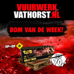 bvdw12.2.png