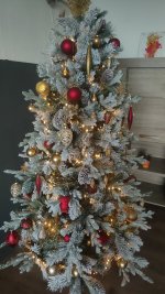 IMG-20241108-WA0004.jpeg