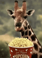 1000024172.gif