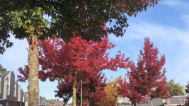 IMG_5075-min.jpeg