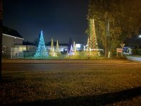 IMG_7920.jpeg