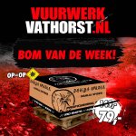 bvdw13.1.jpg