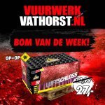 bvdw13.2.jpg