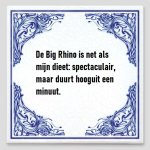 Big Rhino.jpg