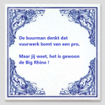 Rhino 2.png