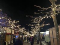 IMG_8110.jpeg