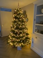 IMG_8023.jpeg