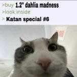 440BB673-6A72-4740-A814-B2808FB88B28.jpeg