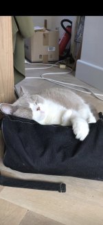 IMG_6941.jpeg