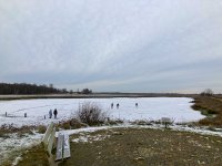 IMG_3378 small.JPG