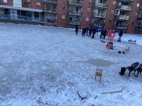 IMG_8260.jpeg