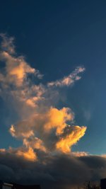 IMG_0621.JPEG