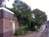 Boom op transformatorhuisje Weerdinge small.jpg