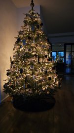 Kerstboomkamer2024.jpg