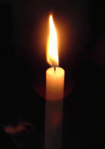 1000024869.gif