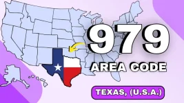 979-area-code-768x432.webp