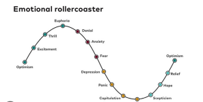 Screenshot 2024-12-18 at 13-59-45 emotional rollercoaster - Google Zoeken.png