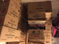 IMG_6388.jpeg