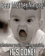 IMG_1198.jpeg