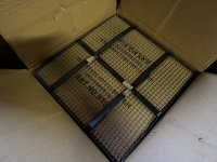 IMG_1163-compressed.jpeg