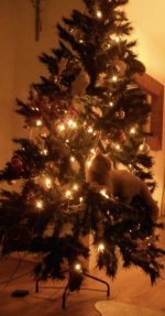 IMG_7263.jpeg
