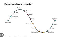 Screenshot 2024-12-26 at 09-07-06 emotional rollercoaster - Google Zoeken.png