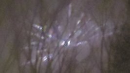 20241228_220620.jpg