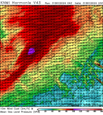 h43_windgust10m_01900.png