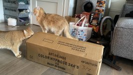 IMG_0671.JPEG