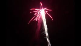 IMG_1544.png