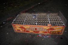Giganto afgestoken verkleind.jpg