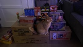 IMG_0679.JPEG