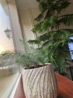 IMG_0769.jpeg