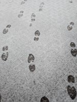 1000049452.jpg