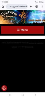 Screenshot_20250210_172800_Chrome.jpg