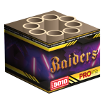 5010_Raiders_2025.png 5010_Raiders_2025.png