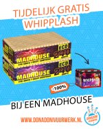 donadoni_madhouse_post.jpg