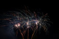 DSC_1597.JPG