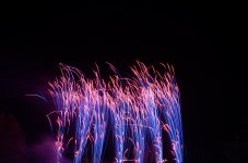 DSC_1602.JPG